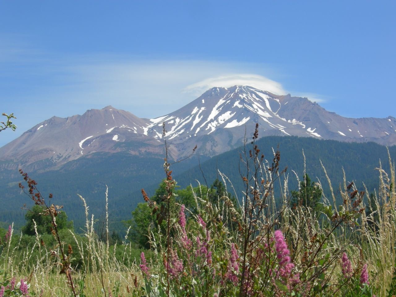 vleepicmt.shasta-72dpi.jpg vleepicmt.shasta-72dpi.jpg